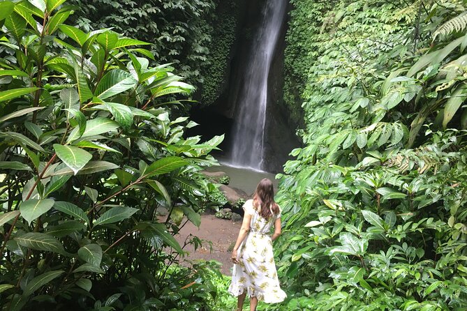 Ubud-Sanur to Menjangan Area - Good To Know