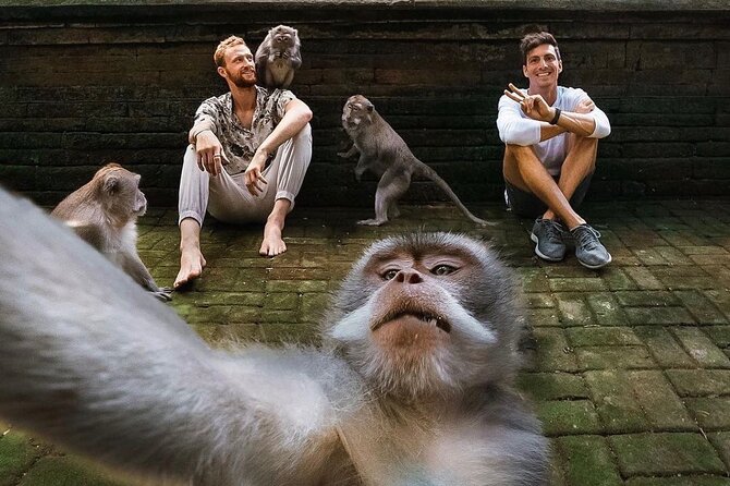 Ubud Tour-All Inclusive With Jungle Swing and Lunch - Good To Know