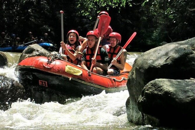 Ubud Tour And Bali White Water Rafting - Good To Know