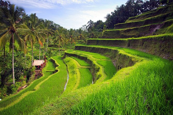 Ubud Tour - Best of Bali - All Inclusive - Good To Know