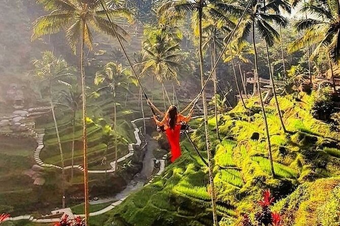 Ubud Tour (Monkey Forest, Tirta Empul Temple, Waterfall, Rice Terrace and Swing) - Good To Know