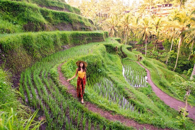 Ubud Tour With Swing, Temple, Monkey Forest, and Waterfall - Good To Know