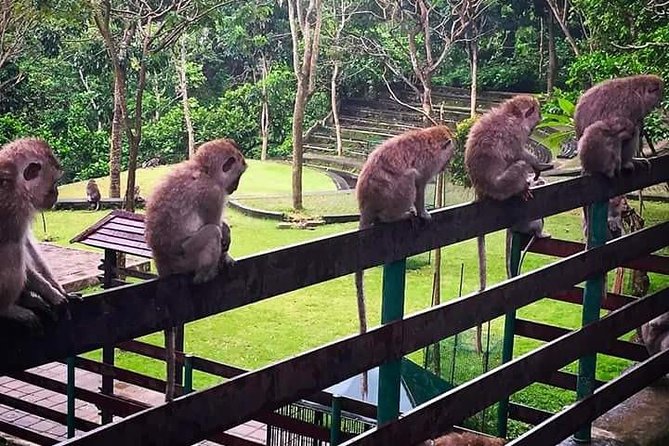 Ubud Unique Private Tours - Good To Know