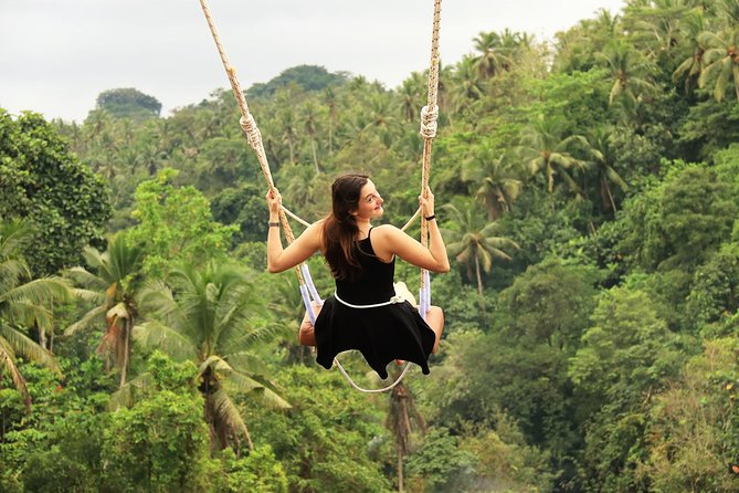 Ubud Village, Rice Terrace and Ubud Swing With It Bird Nest - Tour Highlights