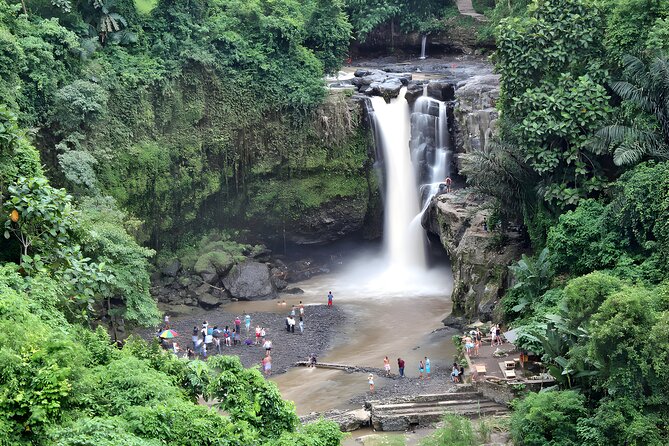 Ubud VW Safari Bali Tour - Volkswagen Classic Car Trip