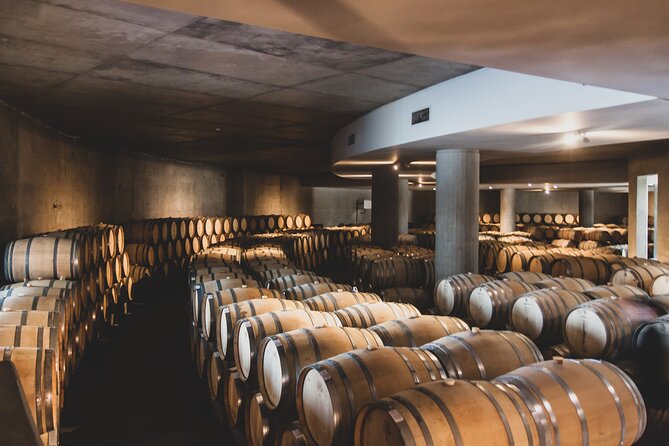 Uco Valley Hidden Wineries Tour With 5-Star Resort Lunch - Mendoza