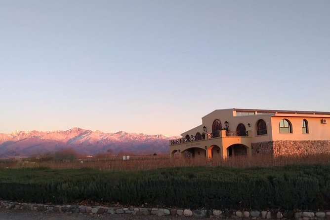 Uco Valley Private Wine Tasting Tour (Feb )