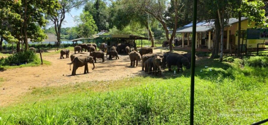4 Best Safari Tours In Ahungalla