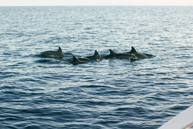 Ulan Danu Small-Group Temples and Waterfalls Tour From Bali (Feb ) - Good To Know