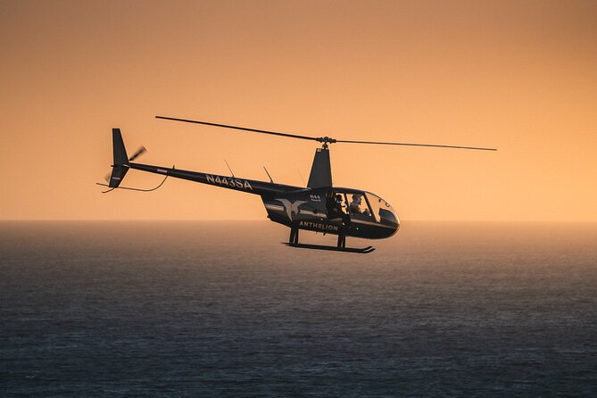 3 Best Helicopter Flights And Tours In Long Beach