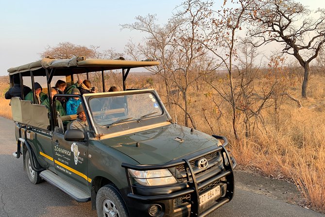 Ultimate Safari to Pilanesberg National Park From Johannesburg