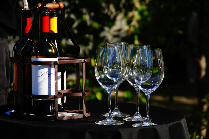 Ultimate Wine Experience With Personal Driver and Photographer