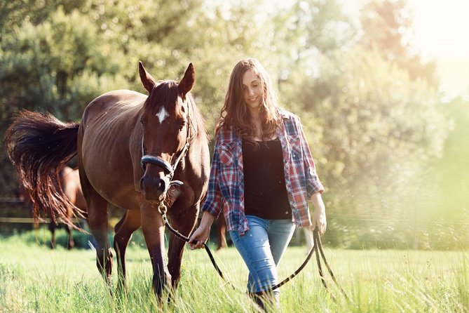Umbria – Horse Riding Through The Wonderful Valleys Of Umbria, Lunch Included