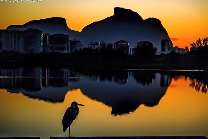 Uncover Venice in Rio: Boat Trip Adventure - Good To Know