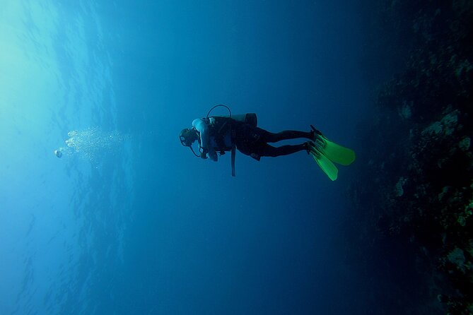 Under a Sea of Adventures, Unforgettable Diving. - Good To Know