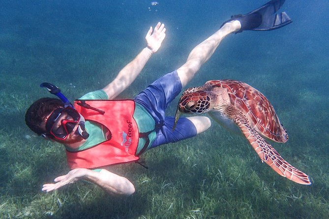 Under the Sea – Reef Exploration (Snorkel Tour)