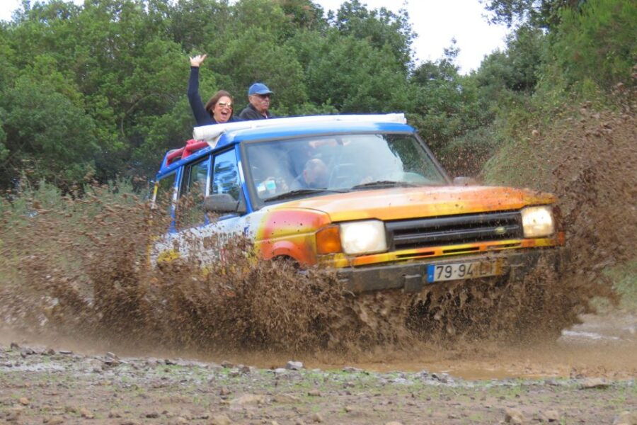 Unesco Centenary Trees, Volcanic Pools and 4×4 Adventure