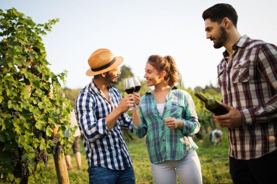 UNESCO Heritage and Wine Delights Private Tour From Bordeaux