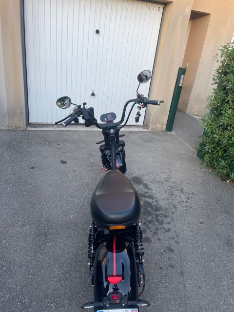 Unforgettable Walk in the Middle of Avignon - Good To Know