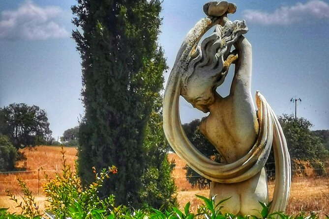3 Best Wine Tours In Beja