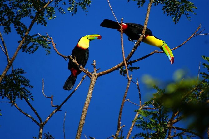 Unleash Adventure: Exclusive Rincon De La Vieja Tour
