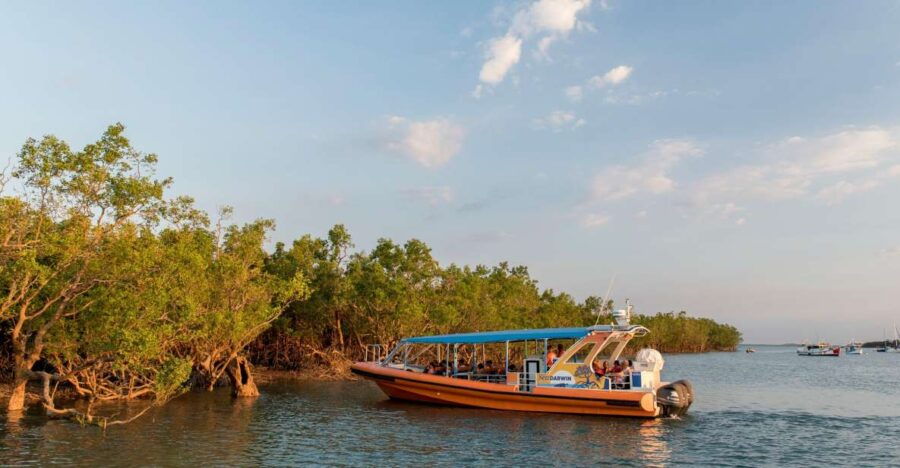 Up the Creek: Darwin Harbour Afternoon Cruise - Good To Know
