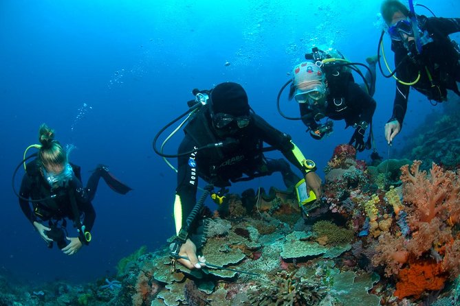 USAT Liberty Shipwreck Scuba Diving Adventure - Good To Know