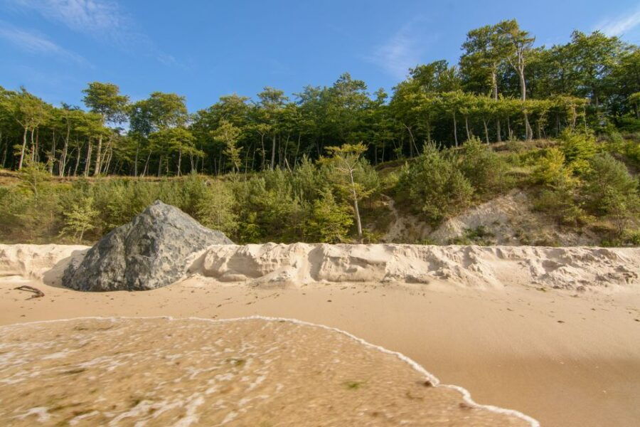 Usedom: Day Trip to Wolin National Park - Private Transport - Good To Know