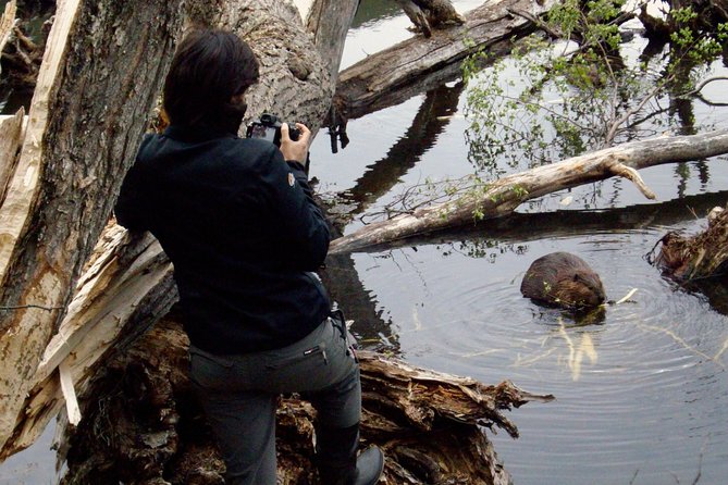 Ushuaia: Nature and Beaver Spotting Night Tour (Feb ) - Good To Know