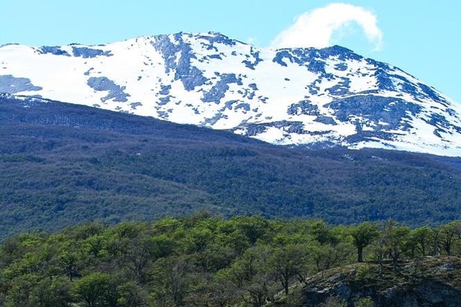 Ushuaia Shore Excursion: Private Tour of Tierra Del Fuego National Park - Good To Know