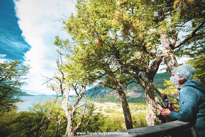 Ushuaia to Tierra Del Fuego National Park Full-Day Tour