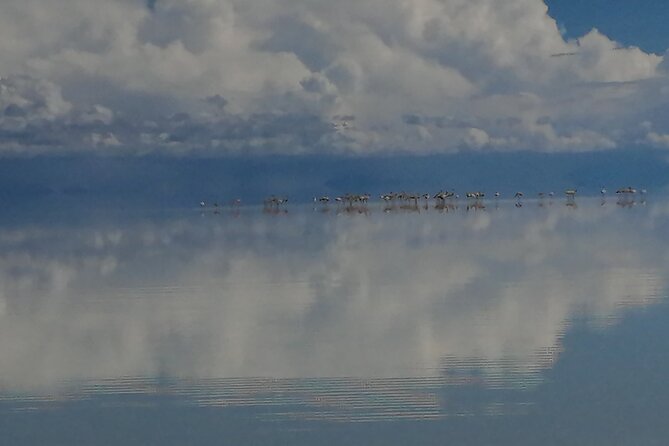 Uyuni Salt Flat 1 Day Tour Sunset in the Salt Water Region With Mirror Effect - Good To Know