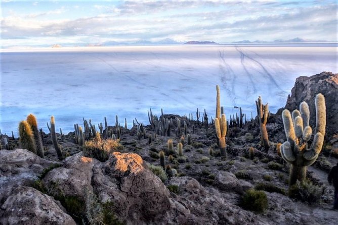 Uyuni Salt Flats (3 Days) English Speaking Guide - Good To Know