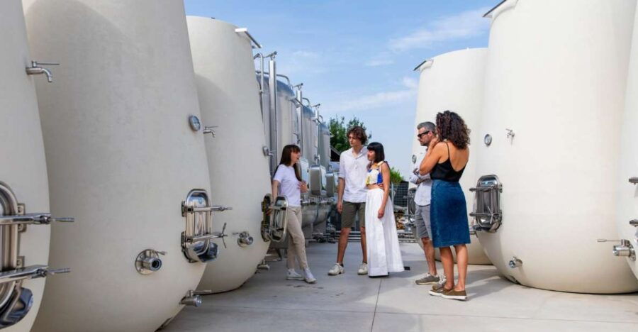Valdobbiadene:Prosecco Tasting,Appetizers,Winery & Vineyard
