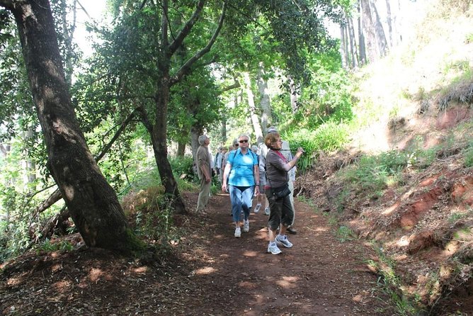 Vale Paraíso – Rochão (Half Day Walk)