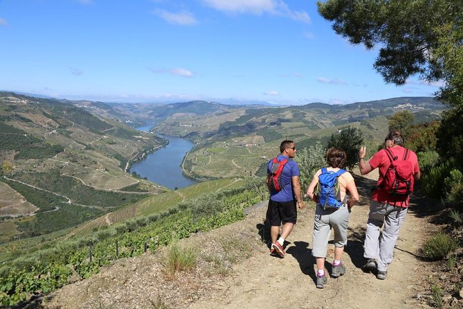 17 Best Walking Tours In Coimbra