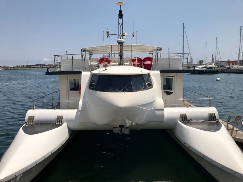 Valencia: Catamaran Cruise, Paella Lunch and Swim Stop - Good To Know