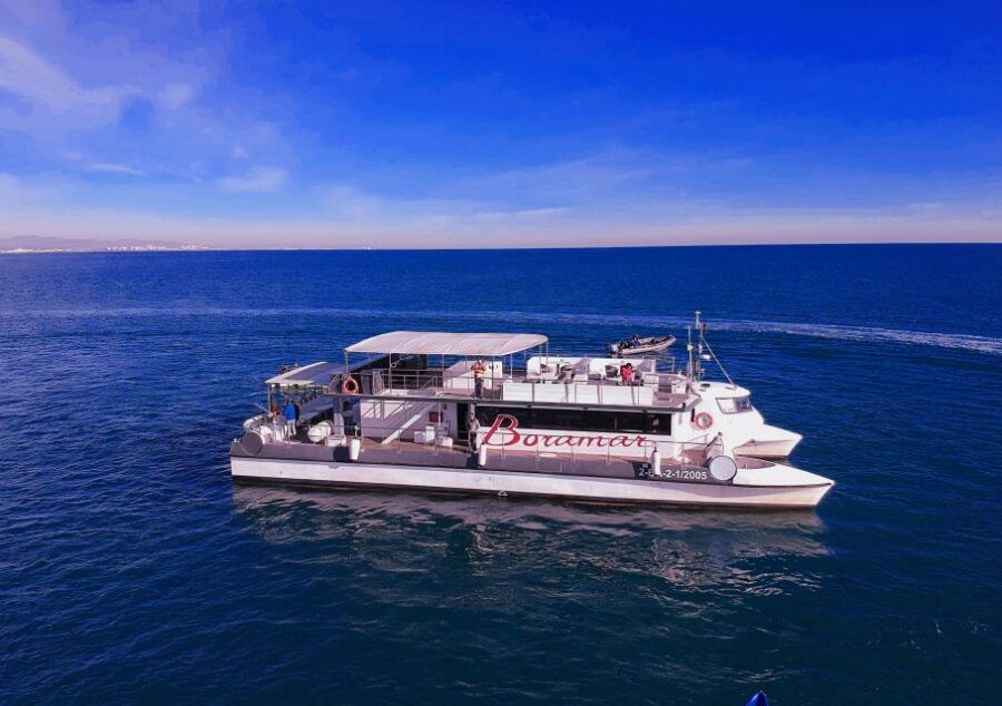 Valencia: Catamaran Cruise With Stop for Swimming