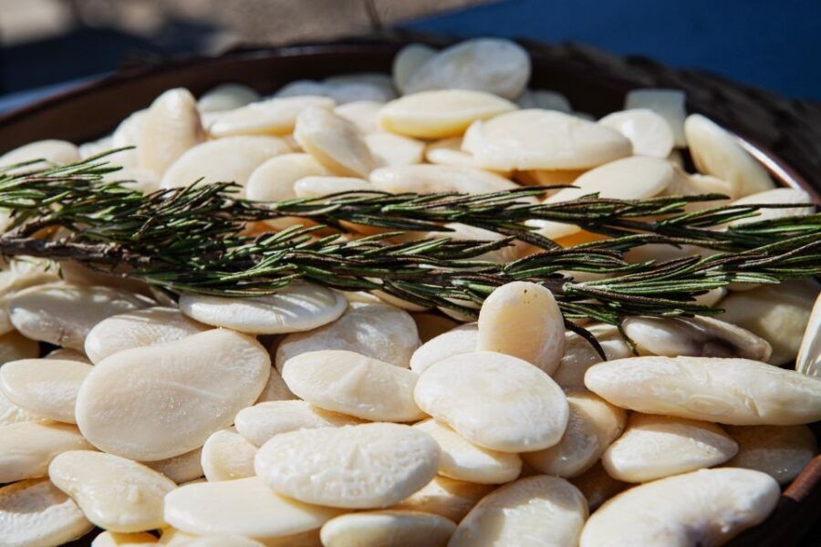 Valencia: Paella Full Experience Workshop at Villa Indiano