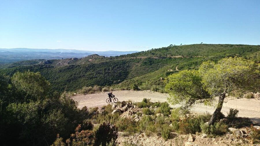 Valencia: Private Mountain Biking Trip in Sierra Calderona - Good To Know
