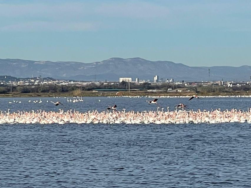 Valencia: the City and Albufera Lake Self-Guided E-Bike Tour