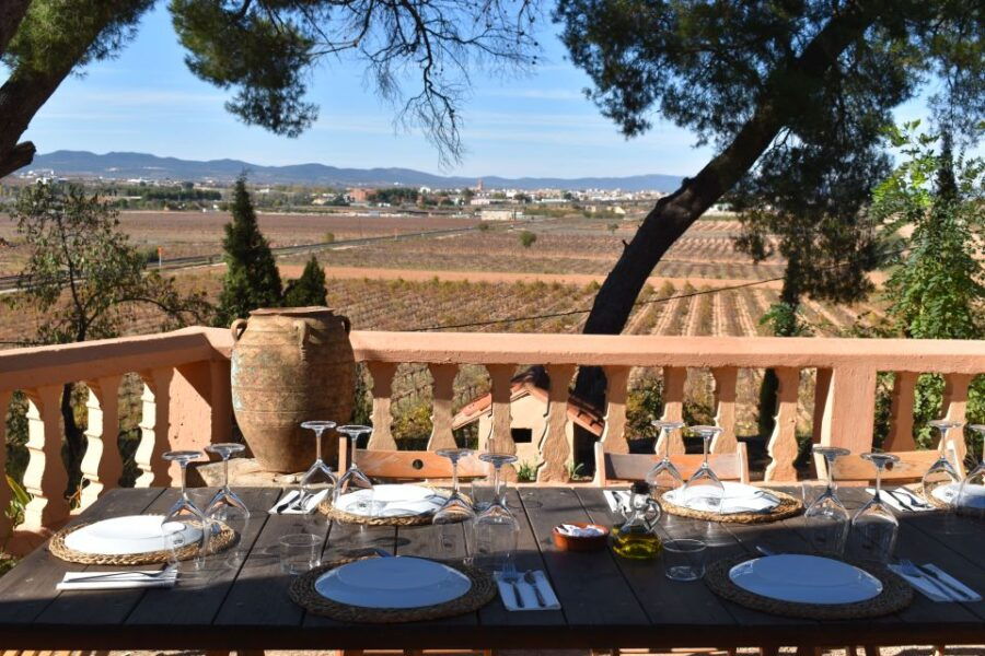 Valencia: Utiel-Requena Cave & Winery Day Trip With Tasting