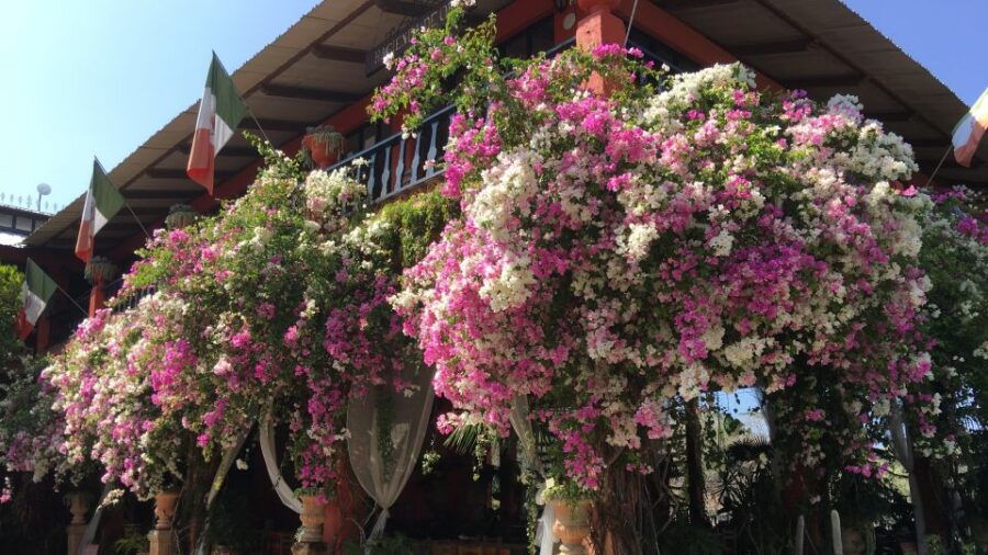 Vallarta Botanical Gardens: Entry Ticket, Tour, and Lunch