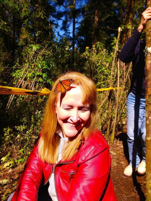 Valle De Bravo: Monarch Butterfly Tour - Good To Know
