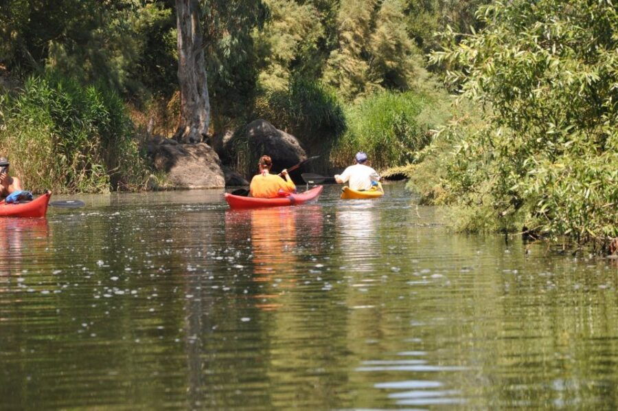Valledoria: Coghinas River Kayak Rental - Good To Know