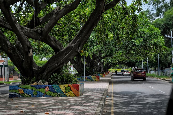 Valledupar Private Half-Day Tour (Feb )