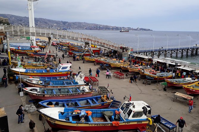 Valparaiso Private Tour and Wine Tasting - Good To Know