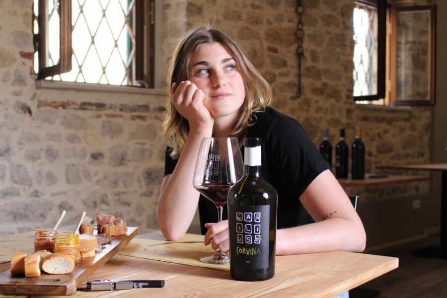 Valpolicella: 3 Wines Tasting