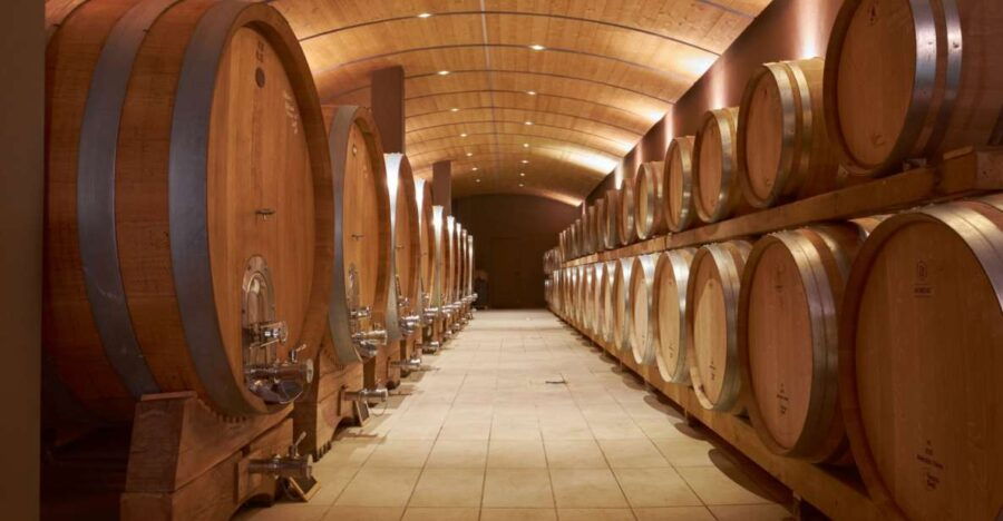 Valpolicella: Amarone Experience With Cantina Visit
