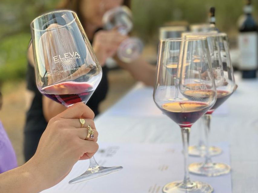 Valpolicella Classica: Red Tasting in the Vineyard - Good To Know